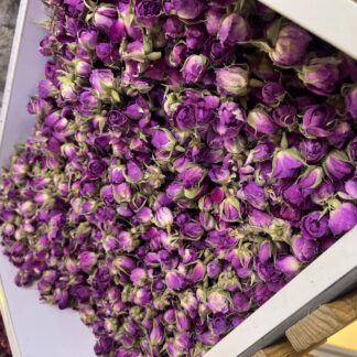 غنچه گل‌محمدی